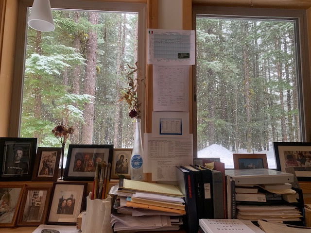 nowing. View out my north study windows today. Hmm, looks like I have a lot to do.
