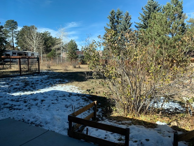 The backyard of a family home in October. The backyard of a family home in October.