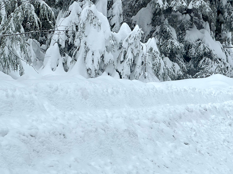 Berm at our driveway.