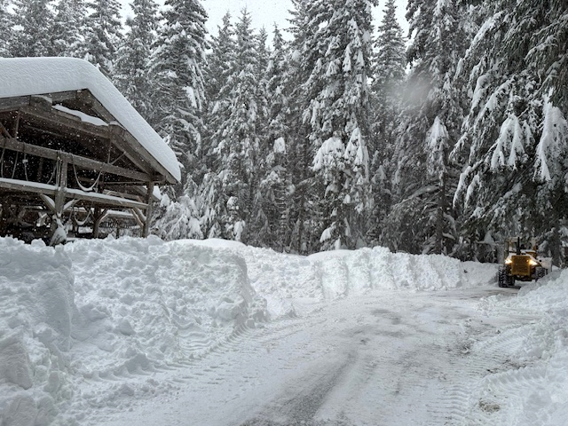 Bob plowing from the house to one of the sheds.