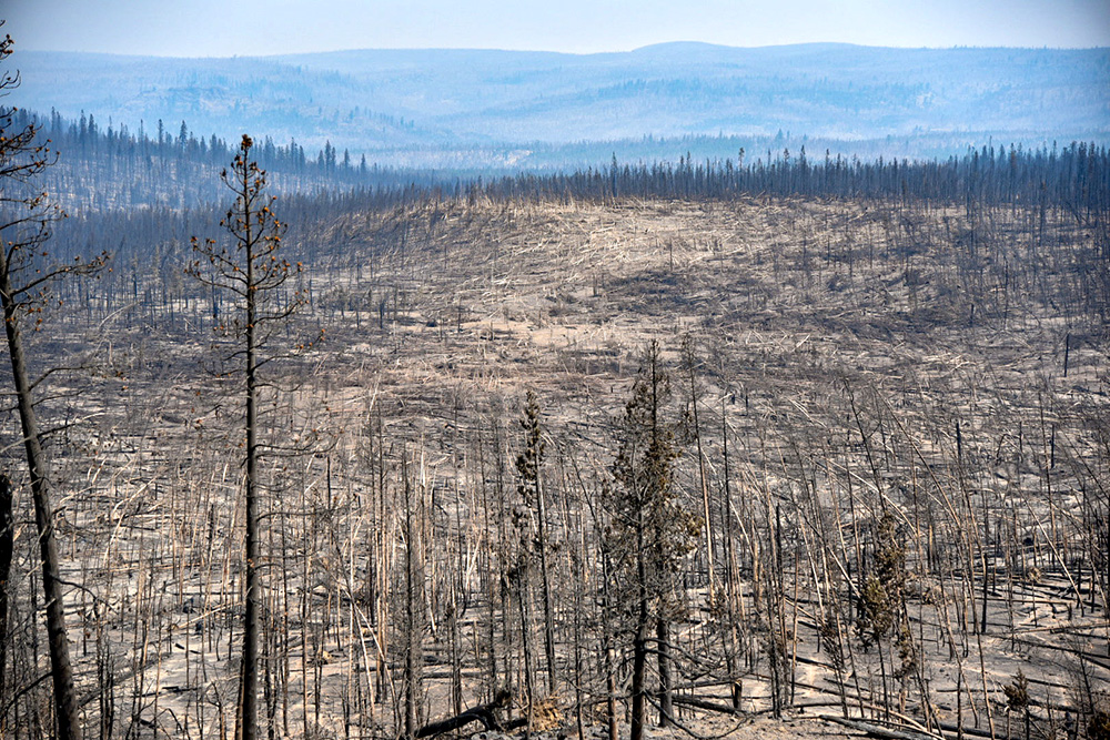 The area near Campbell Lake after the 2021 Bootleg fire. I’ve not been back to Campbell Lake since the fire, but I saw a picture of its forest burned to the water. 
