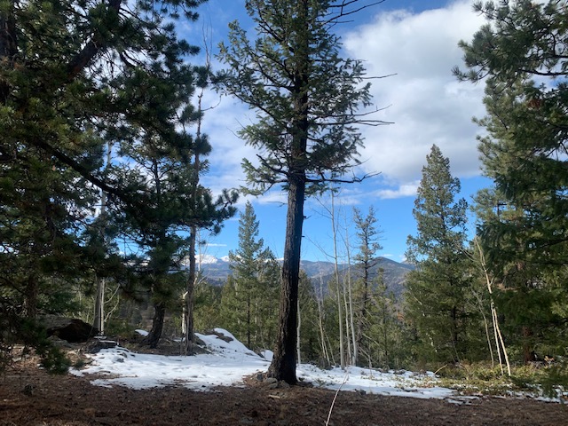Continental Divide viewed from a friend’s house. Continental Divide viewed from a friend’s house.