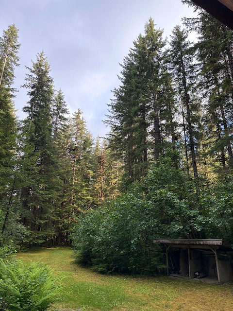 The front yard of my home. The front yard of my home.