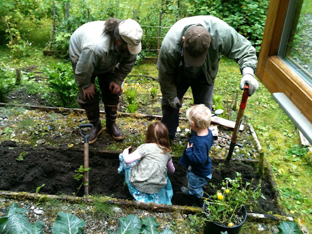 Digging for potatoes with Grandpa Goose. Digging for potatoes with Grandpa Goose.