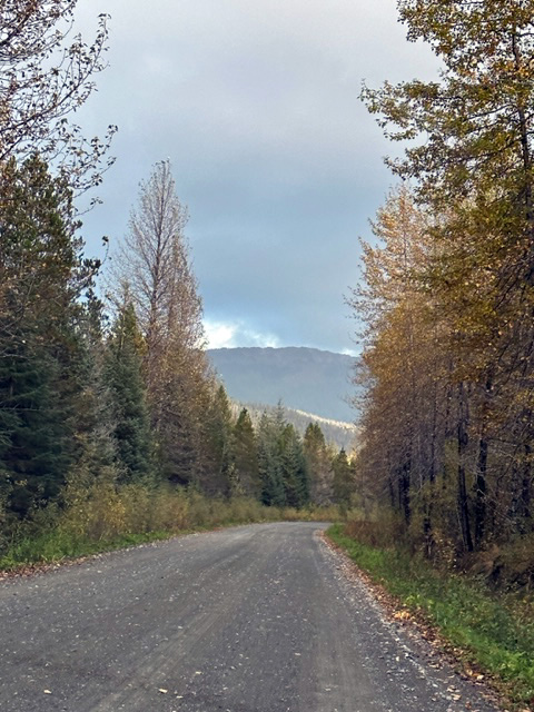 A month ago as we walked towards home. A month ago as we walked towards home.
