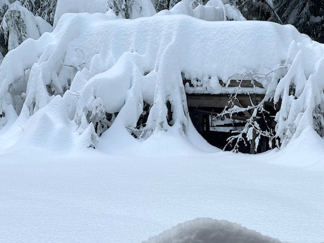 Garden shed. Who gardens in the wintertime anyway?