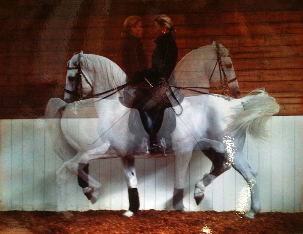 Tracy riding Contessa in reverse double image. Photograph posted in the arena building. Tracy riding Contessa in reverse double image. Photograph posted in the arena building.