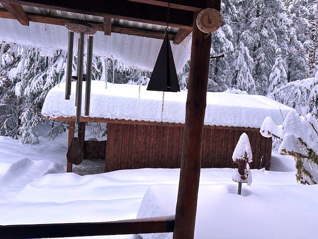 View out the kitchen, or front, door. View out the kitchen, or front, door.